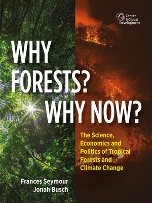 cover image of Why Forests? Why Now?